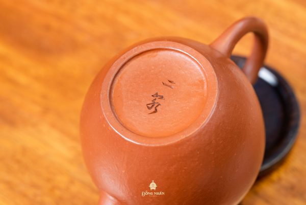 Dáng Ấm: Trứng Rồng - Long Đán