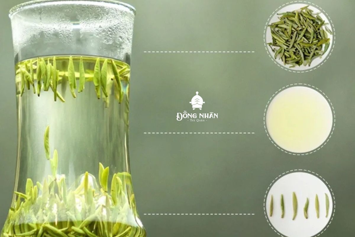 TRÀ HOÀNG SƠN MAO PHONG- CÁCH PHA TRÀ VÀ NHẬN DẠNG