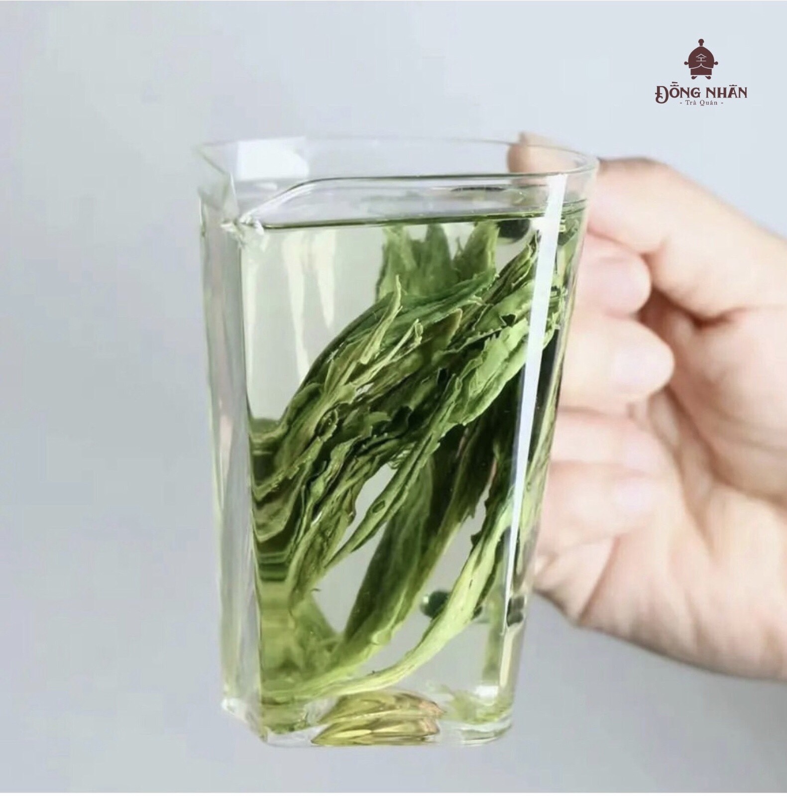 Trà Thái Bình Hầu Khôi